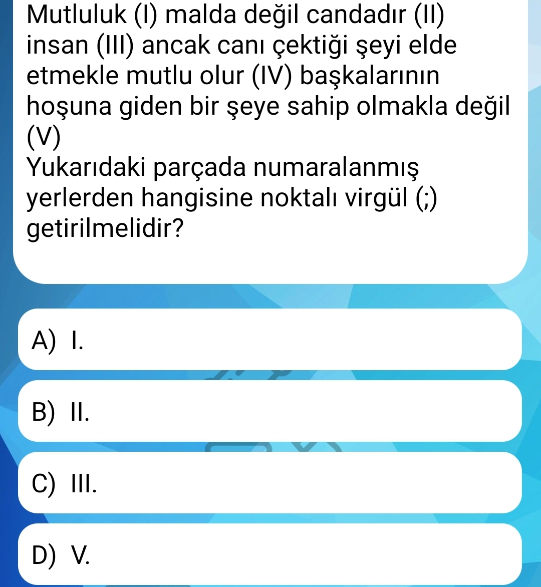 Soru Görseli
